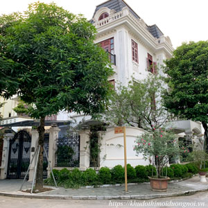 Mua bán chuyển nhượng biệt thự dương nội an khang villa 6