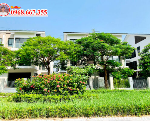 Bán biệt thự an vượng villa 180m2 view vườn hoa 6
